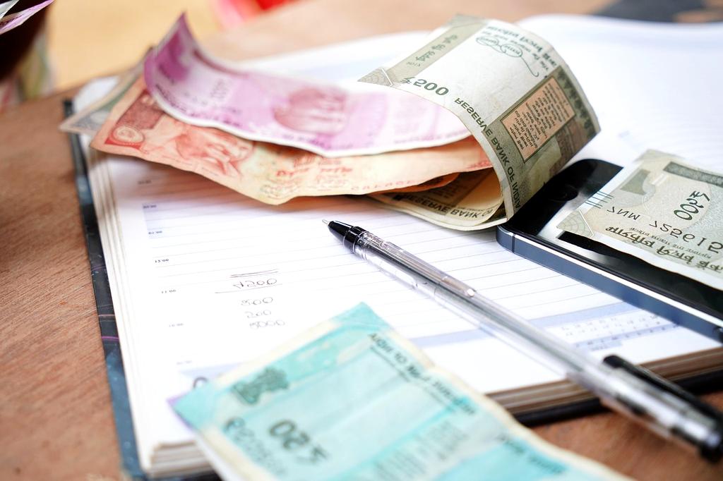 financial literacy/budget allocation